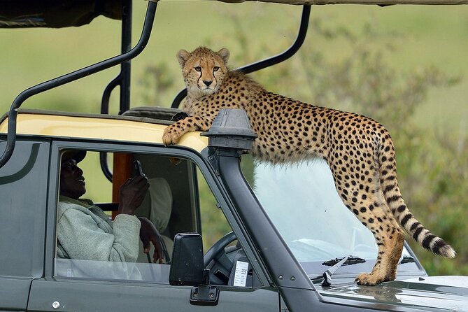 3-Days Maasai Mara Camping Safari on 4x4 Land Cruiser Jeep - A budget route from Nairobi to the Mara
