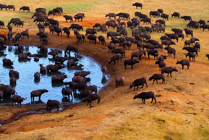3-Days Maasai Mara Camping Safari on 4x4 Land Cruiser Jeep - Day 1: Rift Valley views and an evening game drive