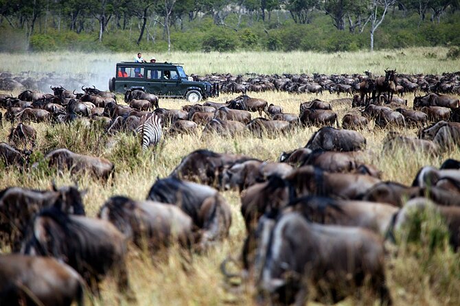 3-Days Maasai Mara Camping Safari on 4x4 Land Cruiser Jeep - Optional Maasai village visit for $20