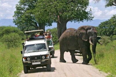 3-Days Maasai Mara Camping Safari on 4×4 Land Cruiser Jeep