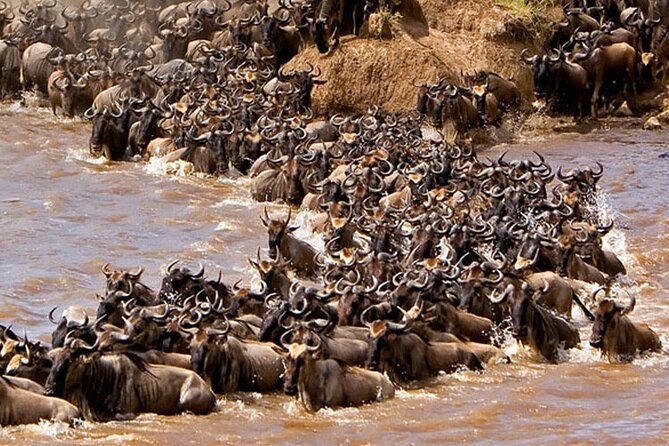 3-Days Maasai Mara Camping Safari on 4x4 Land Cruiser Jeep - Day 3: The return to Nairobi