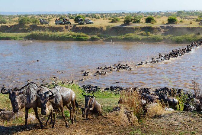 3-Days Maasai Mara Camping Safari on 4x4 Land Cruiser Jeep - What the $285 price really offers