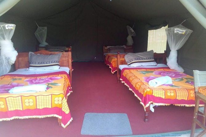 3 Days Maasai Mara Guided Safari from Nairobi - Crowds, driving, and the guide question