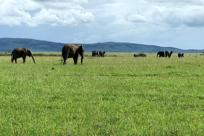 3 Days Maasai Mara Luxury Camping - Who will enjoy this safari most