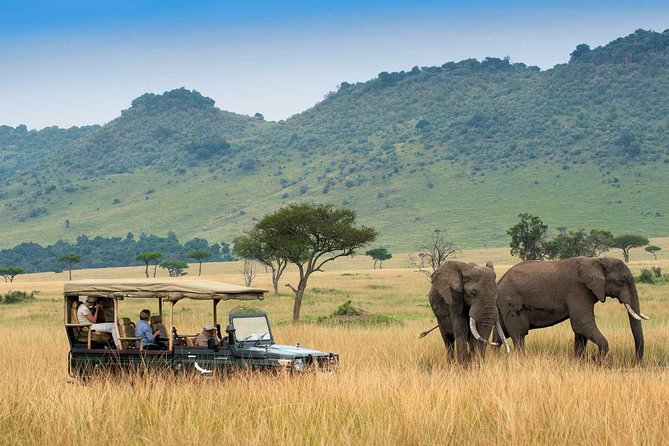3 days Maasai Mara Luxury Safari - The Optional Maasai Village Visit