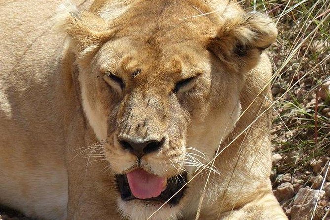 3 days Maasai Mara private Lodge safari at Keekorok from Nairobi - Leaving Nairobi and stopping at the Great Rift Valley