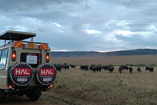 3 Days Maasai Mara Private Safari - Day 2: the full eight-hour wildlife search