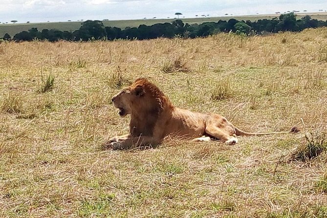 3 days Maasai Mara safari from Nairobi - Leaving Nairobi for the escarpment and Narok