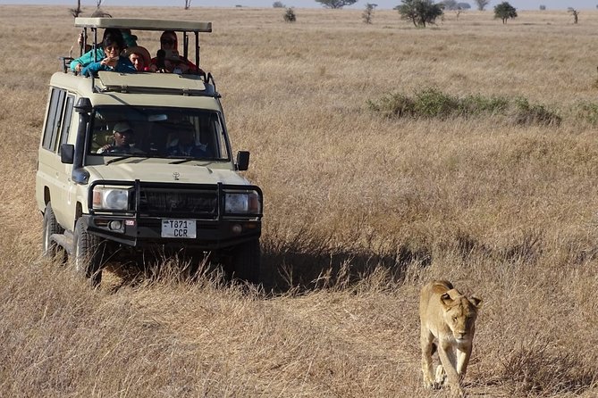 3 Days Maasai Mara Small Group Safari in a 4 x4 Land Cruiser Jeep - Why the $220 Price Can Work