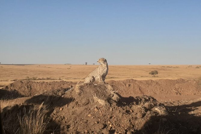 3-Days Maasai Mara unforgettable Adventure- Jeep Private Safari - A cultural morning in a Maasai village