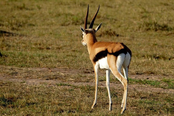3 days Maasai Mara wildebeest migration safari - Reaching the Maasai Mara from Nairobi