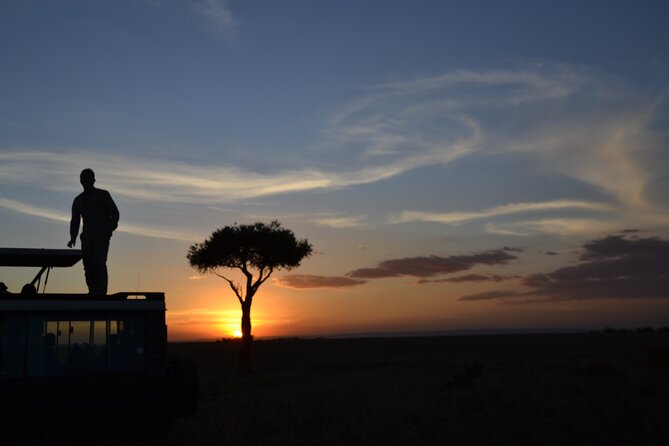 3 Days Magical Maasai Mara Private Tour - Day 2: Your fullest chance for wildlife