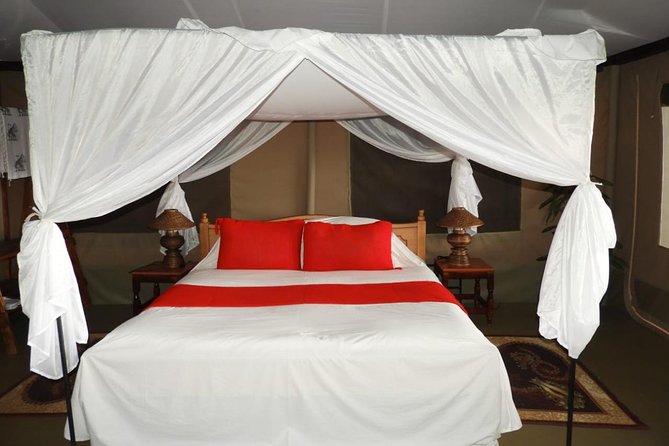 3 Days Masai Mara - Key points before you book