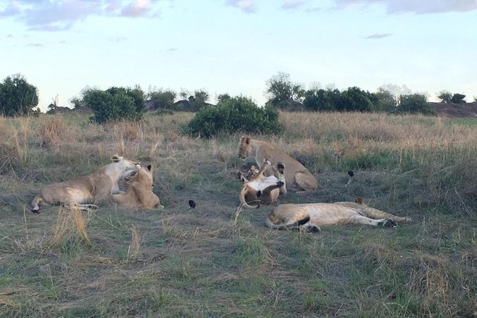 3 days Masai Mara - The Mara River and the wildebeest migration