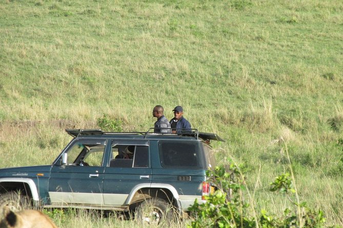 3 days Masai Mara - Service, communication, and the private-tour advantage
