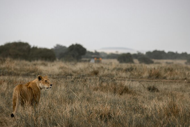 3 Days Masai Mara Budget Cruiser Shared Safari & Maasai Village - Day three: returning to Nairobi