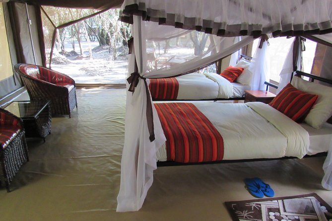 3 Days Masai Mara Budget Safari - Day two: the safari day that earns its place