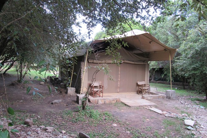 3 Days Masai Mara Budget Safari - Comfort, pace, and the small-group tradeoff