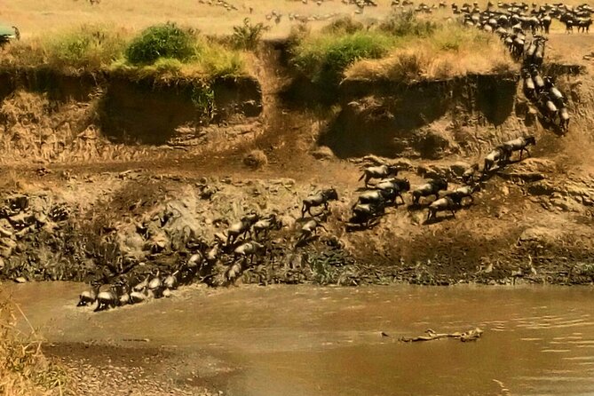 3 Days Masai Mara Budget safari Meals and accommodation included - Day 3: Maasai culture and the long road back to Nairobi