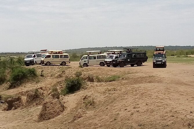 3 Days Masai Mara Budget safari Meals and accommodation included - Meals and camp comfort: simple, included, and worth clarifying