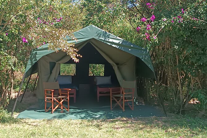 3 Days Masai Mara Camping Safari - Who will enjoy this safari most