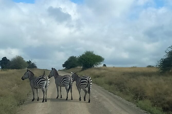 3 Days Masai Mara Experience - Who should book this safari?