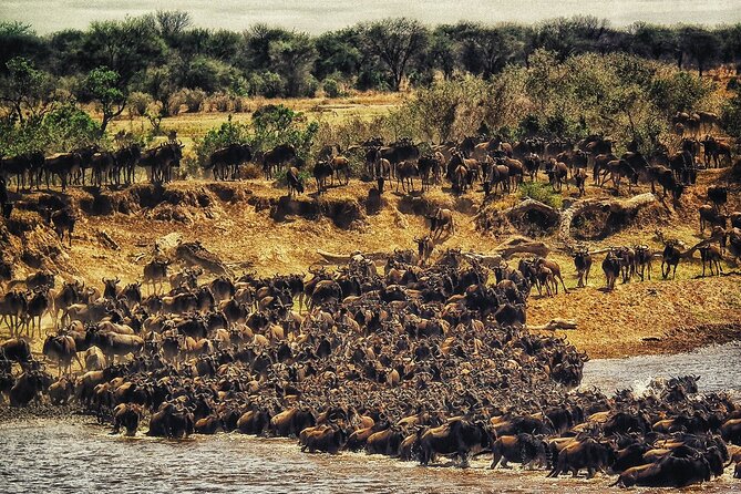 3 Days Masai Mara Group Joining Safari - Leaving Nairobi for the Great Rift Valley