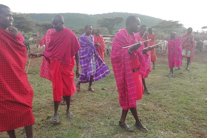 3 Days Masai Mara Joining Safari (lenchada) - Why the Masai Mara is worth the long road from Nairobi