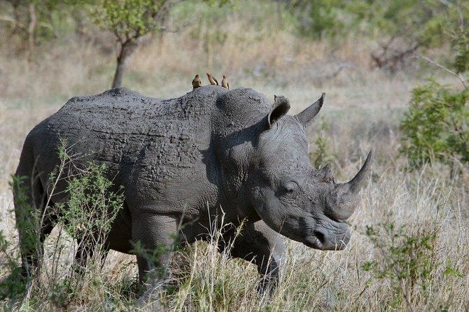 3 Days Masai Mara Joining Tour - Key points before you book