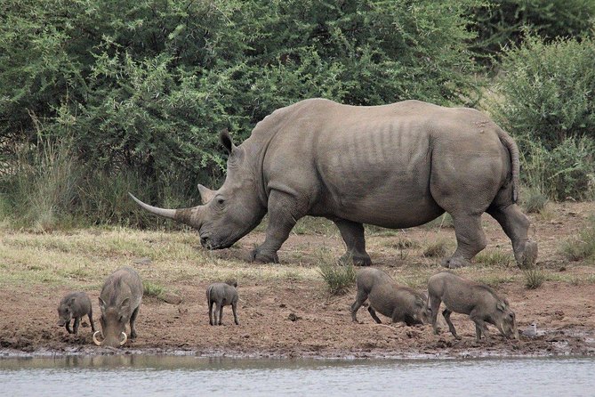 3 Days Masai Mara Joining Tour - Why three days works for a first Masai Mara safari