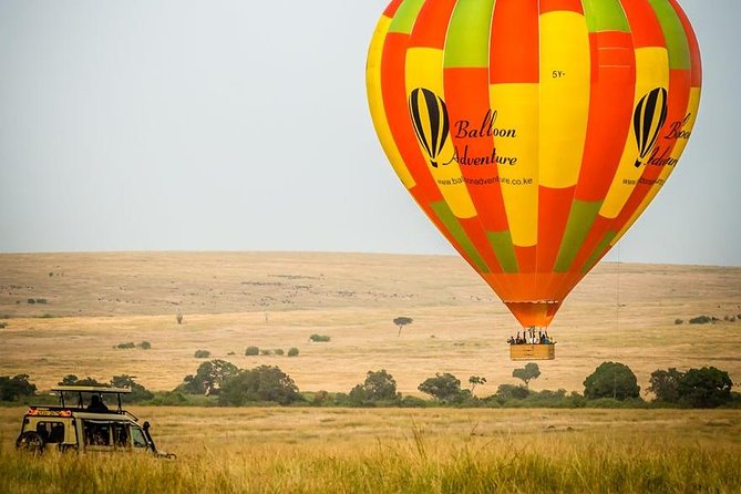 3 Days Masai Mara Joining Tour - Day 2: The full safari day