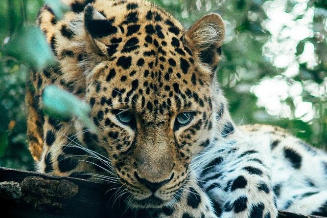 3 Days Masai Mara Joining Tour - What the $750 price really buys you