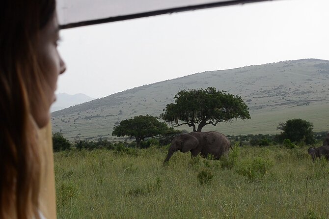 3 days Masai Mara on Private 4x4 Land Cruiser - The Final Morning and the Long Road Back
