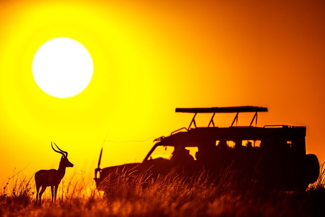 3 days Masai Mara on Private 4x4 Land Cruiser - Meals, Costs, and What You Still Pay For