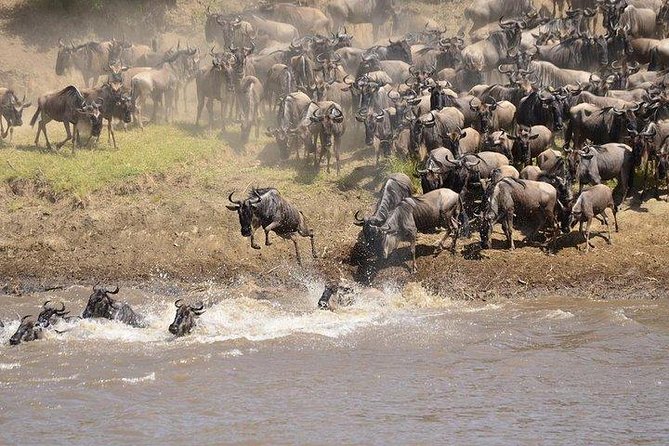 3 Days Masai Mara Private Safari at Sopa Lodge from Nairobi - Who will enjoy this private safari most