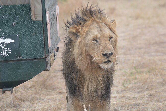 3-Days Masai Mara Rhythms Safari - Nairobi to the Great Rift Valley by road