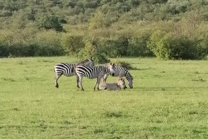 3 Days Masai Mara Safari Group Joining (Daily Departures) - Leaving Nairobi and stopping at the Great Rift Valley