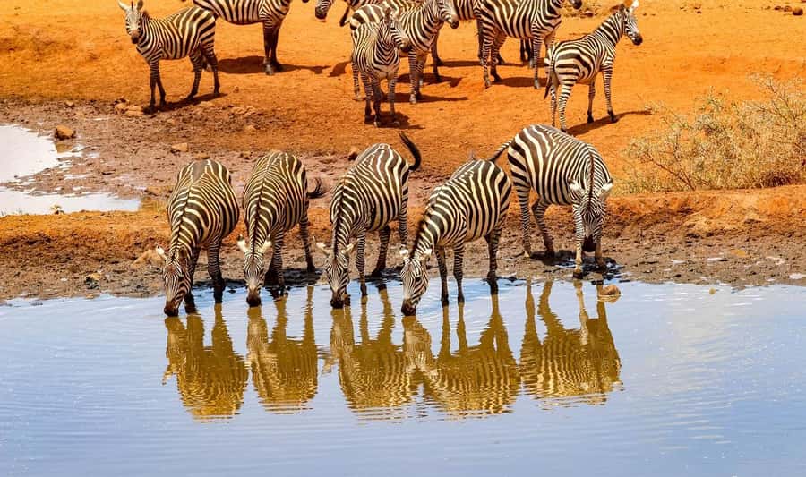 3 Days Nairobi to Amboseli to Tsavo East to Mombasa Safari - Why this Nairobi to Mombasa route works
