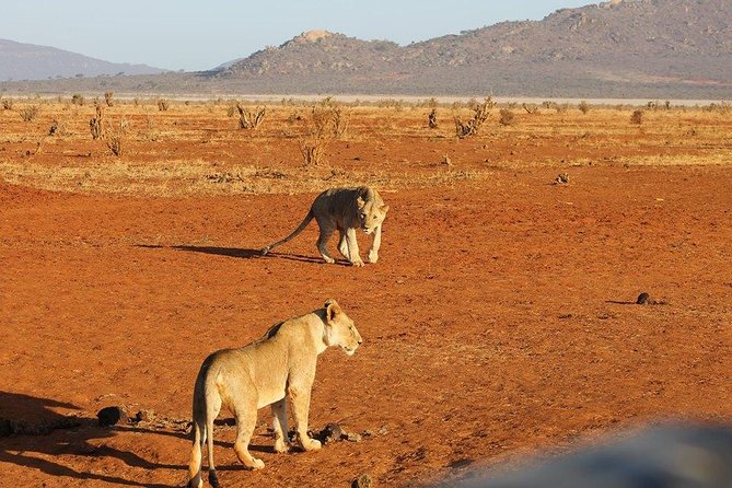 3 days Red elephant safari - Key things to know before booking