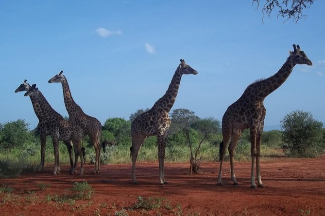 3 days Red elephant safari - Night one and the move toward Taita Hills