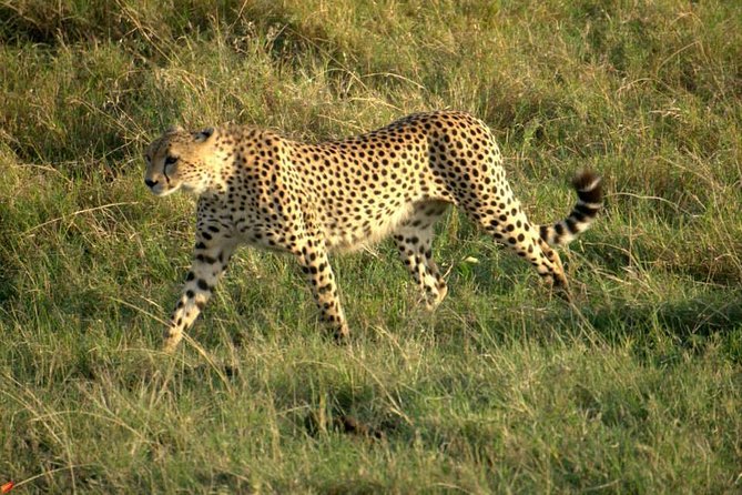 3 days Red elephant safari - Is $980 per person a fair price?