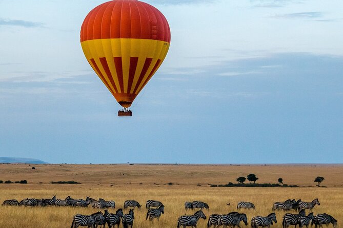 3 Days Safari Tour in Maasai Mara - Food, water, and small practical details