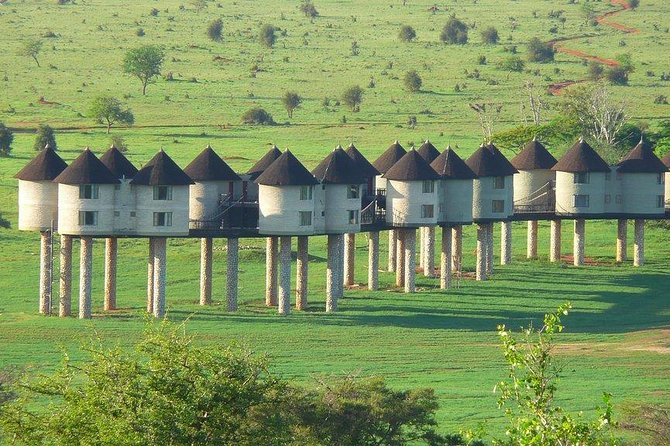 3 days safari Tsavo East and Taita hills (Saltlick lodge) - Key Points Before You Book