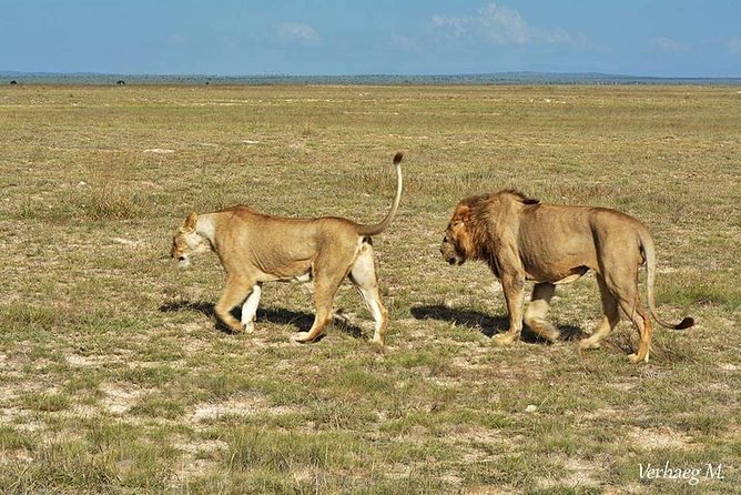 3 days safari Tsavo East and Taita hills (Saltlick lodge) - Day One: From Diani Beach to Tsavo East