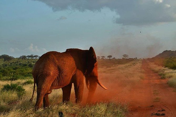 3 days safari Tsavo East and Taita hills (Saltlick lodge) - What the $900 Price Really Covers