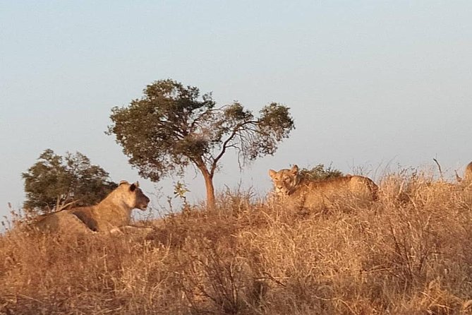 3 days safari Tsavo East and West - What the private format adds