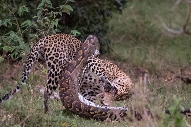 3 Days to Maasai Mara N/R. - Five Things to Know Before You Go