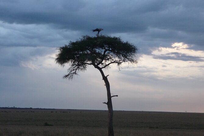3 Days to Maasai Mara N/R. - Day One: The Rift Valley Viewpoint and First Wildlife Drive