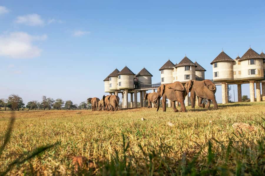 3 days Tsavo East and Saltlick safari from Diani/Mombasa - Day 1: Buchuma Gate and Aruba Dam in Tsavo East