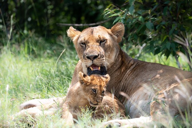 3 Days Tsavo East & Tsavo West Safari - Key points to know before booking